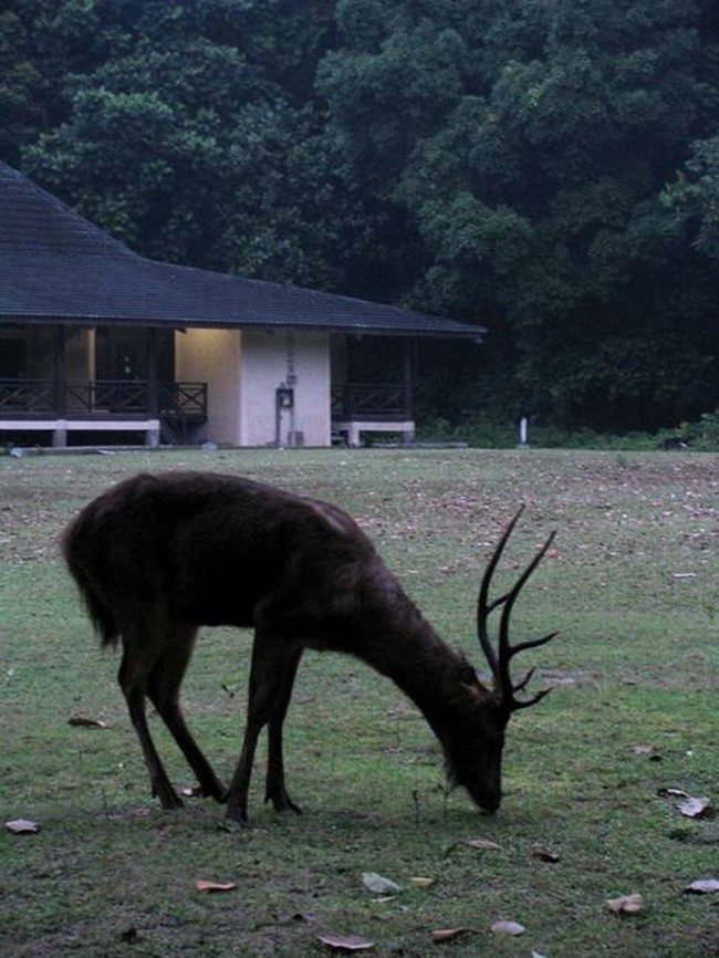 Beperjalanan dari Pulau ke Pulau di Ujung Kulon