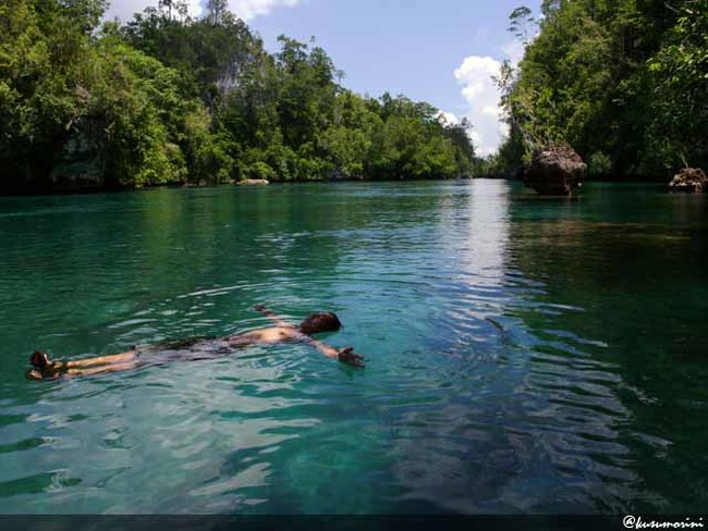 Berbagai Cara Menikmati Teluk Kabui