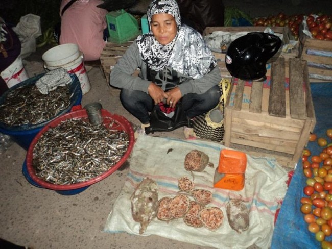 Berburu Buah dan Sayur Segar di Pasar Pagi Takengon, Aceh