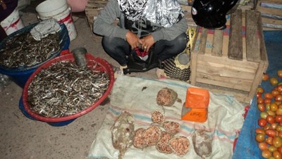 Berburu Buah dan Sayur Segar di Pasar Pagi Takengon, Aceh