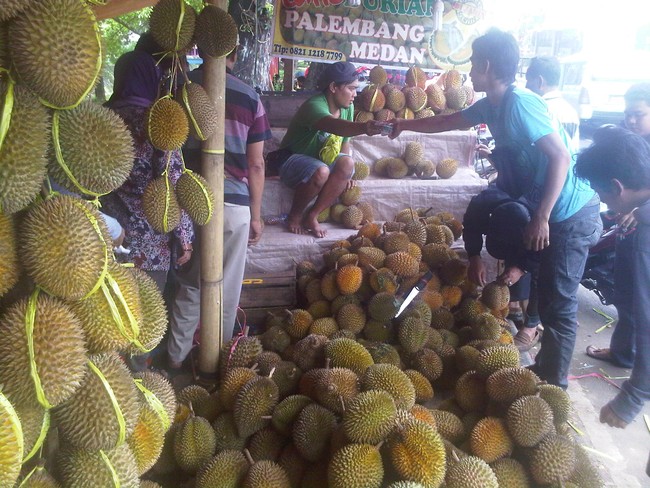 Berburu Durian Sumatera di Kramat Jati, Seru!