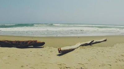 Berjuta Pesona di Bengkulu