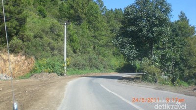 Berjuta Pohon di Tarabunga Balige, Sumatera Utara