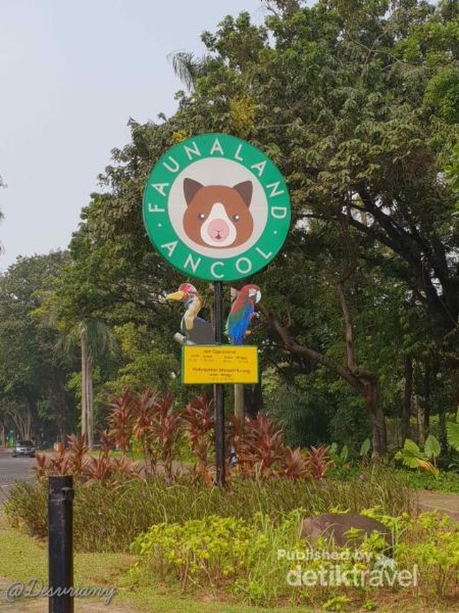 Berkeliling Melihat Satwa Lucu juga Unik di Ancol
