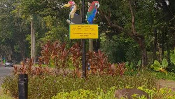 Berkeliling Melihat Satwa Lucu juga Unik di Ancol