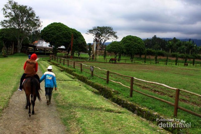 Berkuda Ala Koboi di De Ranch
