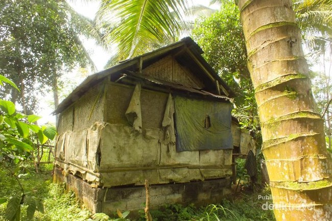 Bersantai di Desa Demulih yang Asri di Bali
