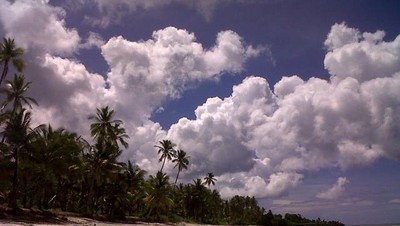 Binongko