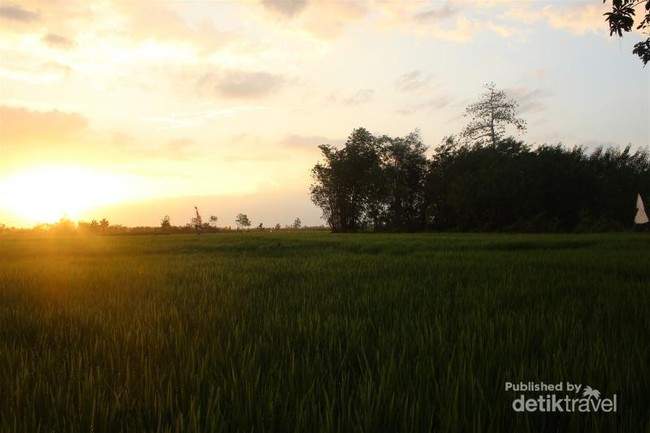 Bosan ke Mal, Yuk Liburan ke Desa