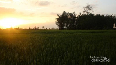 Bosan ke Mal, Yuk Liburan ke Desa