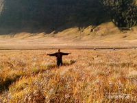 Bromo, Pesona Keindahan Asli Dari Indonesia