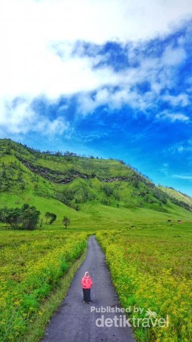 Bukan di New Zealand, Ini di Bromo