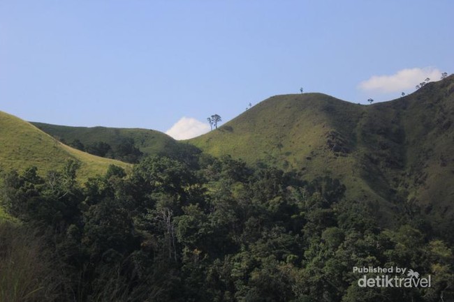 Bukan di Selandia Baru, Ini di Aceh