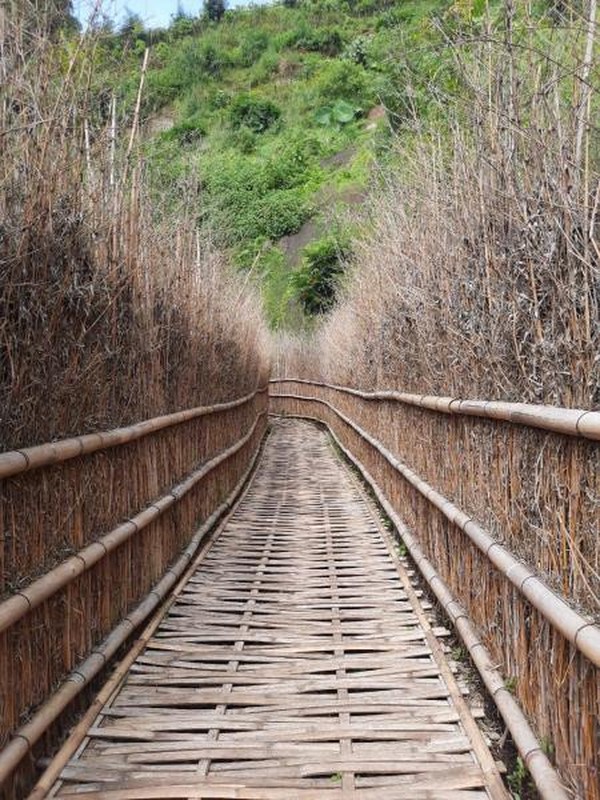 satu spot ini terdapat di paling belakang, dibuat menyerupai kebun bambu Arashiyama