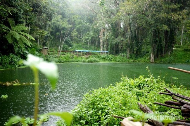 Bukan Ranu Kumbolo, Ini Ranu Sosro di Malang