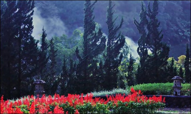 Bunga di Melrimba Garden, Cantik Banget