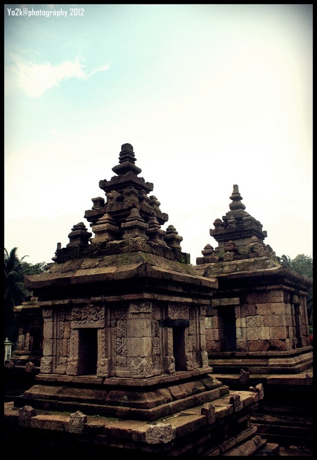 Candi Muncul Ngempon, Mahakarya Indah di Tengah Sawah
