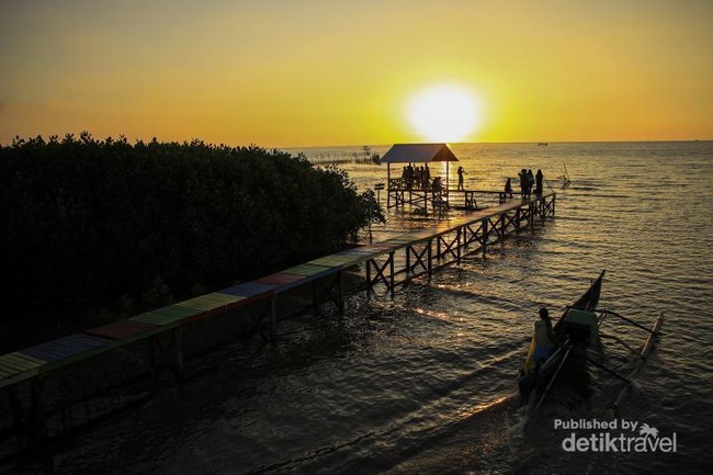 Cantik Sekali Lantebung, Hutan Bakau di Makassar