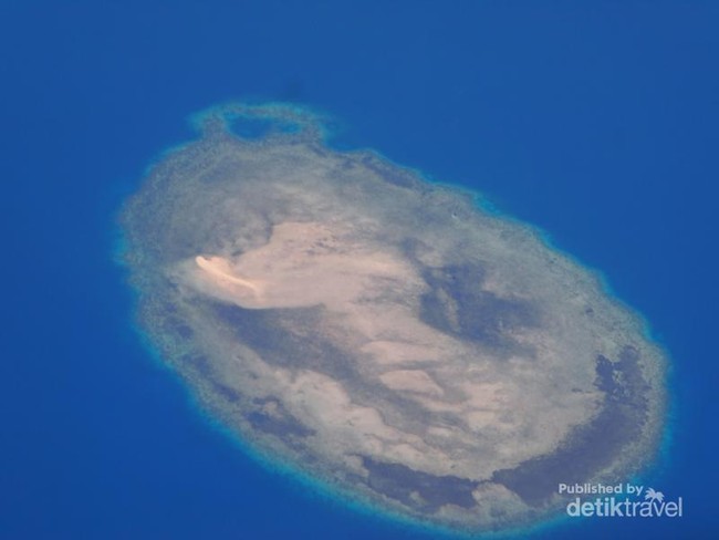 Cantiknya Gugusan Karang di Perairan Sulawesi