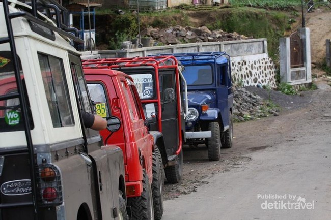Cantiknya Oro-oro Ombo di Semeru