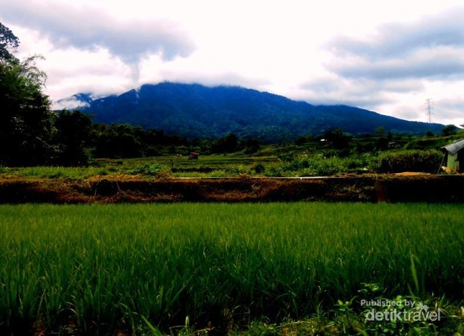 Cantiknya Perkampungan di Bukittinggi