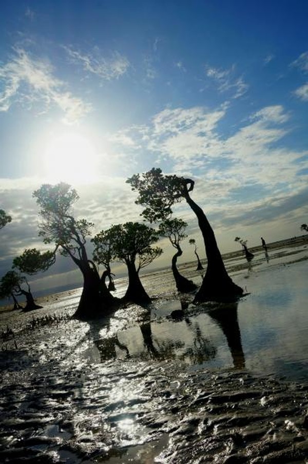 Matahari terbit di Pantai Walakiri Sumba