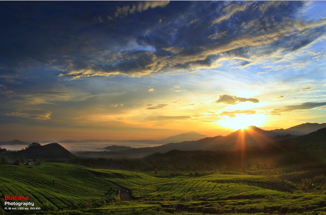 Cantiknya Sunrise di Subang, Bagai Negeri di Atas Awan