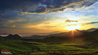 Cantiknya Sunrise di Subang, Bagai Negeri di Atas Awan