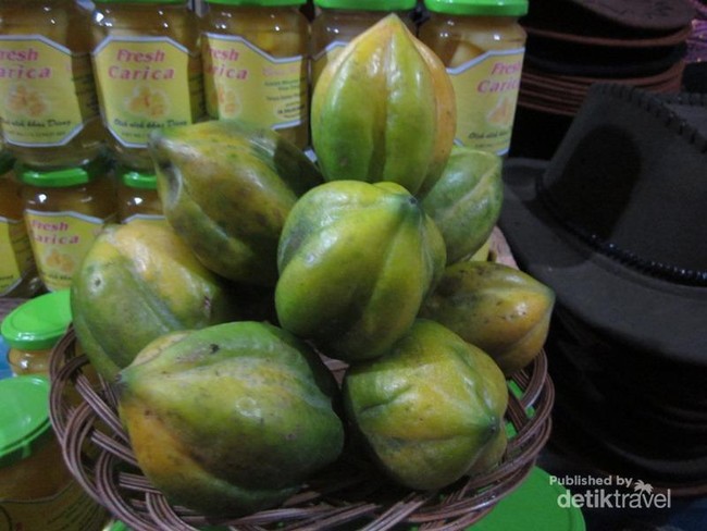 Carica, Buah Tangan Khas dari Dieng