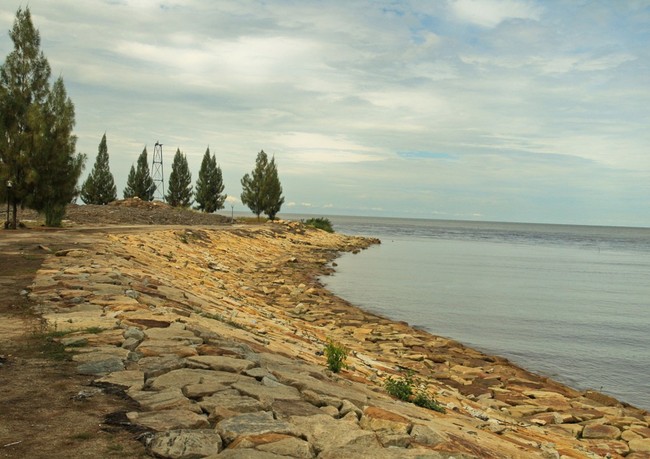 Cemara dan Pantai