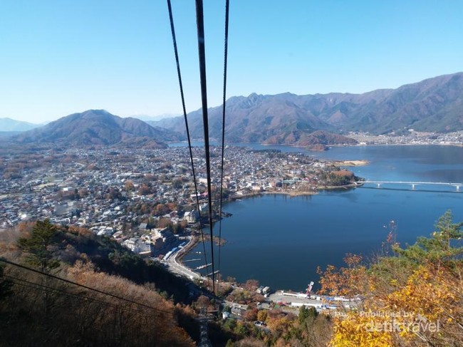 Cerita Dendam Kelinci Terhadap Rakun dari Jepang