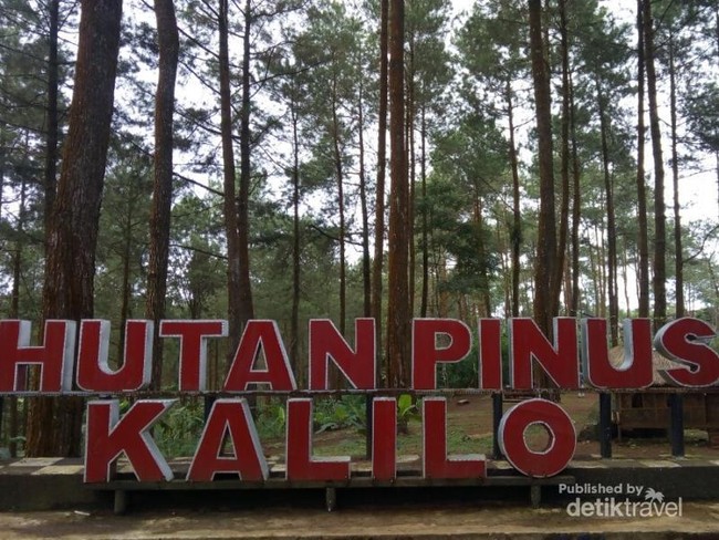 Coba Lihat yang Adem-adem Dulu di Purworejo Ini