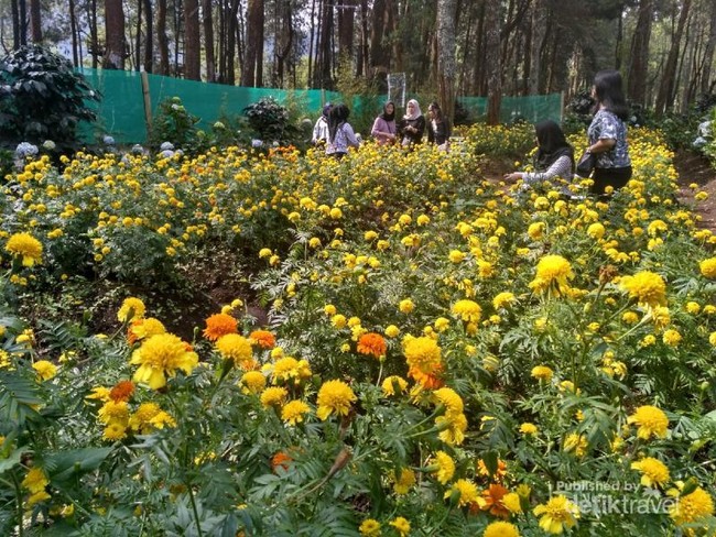 Coban Talun, Tempat Wisata Komplit di Malang