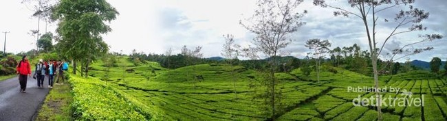 Curug Citambur, Air Terjun Elok di Cianjur