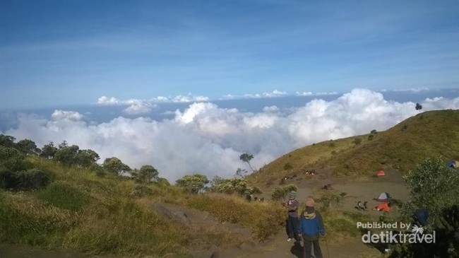 Daki Gunung Merbabu Via Selo, Pemandangan Indah Sudah Menanti