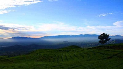 Damai Di Pinggir Pantai Burong Mandi