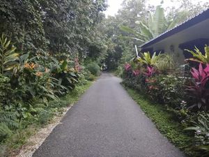 Damainya Kampung Yooi di Pulau Langkawi