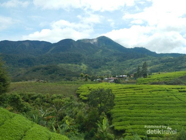 Danau di Atas & Danau di Bawah, Si Kembar Cantik Dari Solok