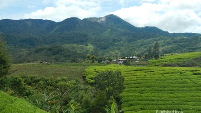 Danau di Atas & Danau di Bawah, Si Kembar Cantik Dari Solok