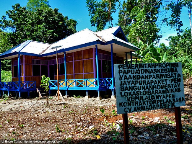 Desa Barawai, Papua: Desa Penyelamat Burung Surga