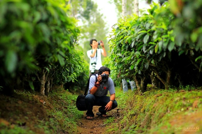 Dieng Plateau Dalam Bidikan Lensa