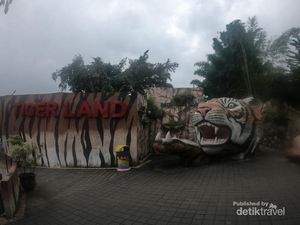 Foto: Bukan Ikan, Di Sini Kamu Bisa Mancing Harimau