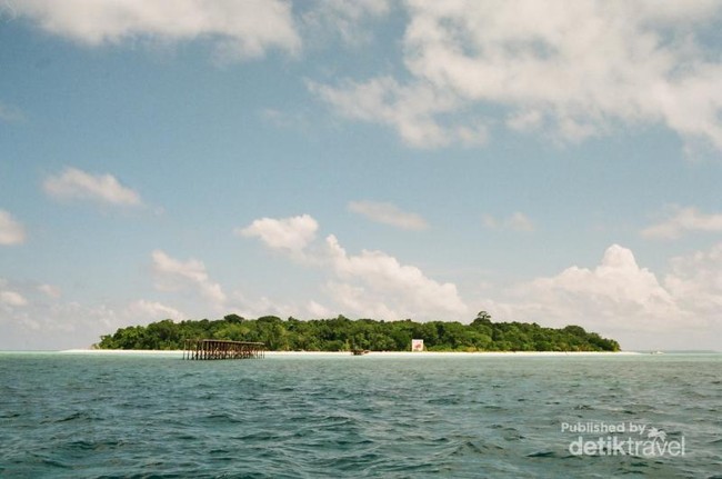 Foto-foto Konservasi Penyu di Pulau Sangalaki