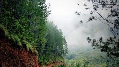 Foto: Gayo Tak Hanya Kopi
