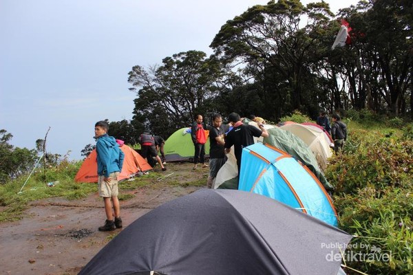 Camping di Puncak Gunung Salak (detiktravel)