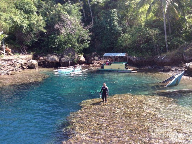 Foto Indahnya Bawah Laut Gorontalo