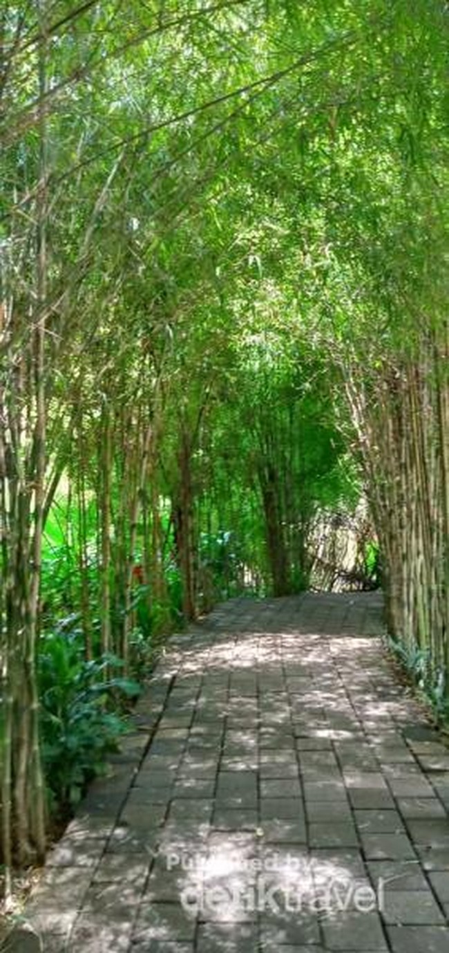 Foto: Ini Tempat Asyik Buat Ngadem di Bandung