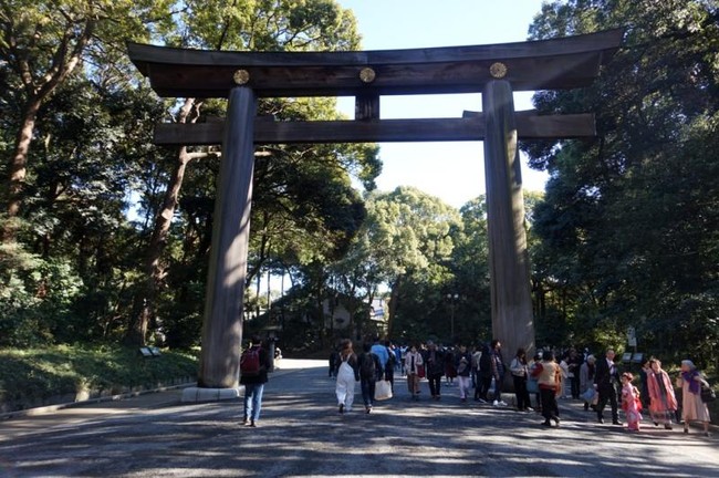 Foto: Meiji Jingu, Oase Hijau di Tengah Kota Tokyo