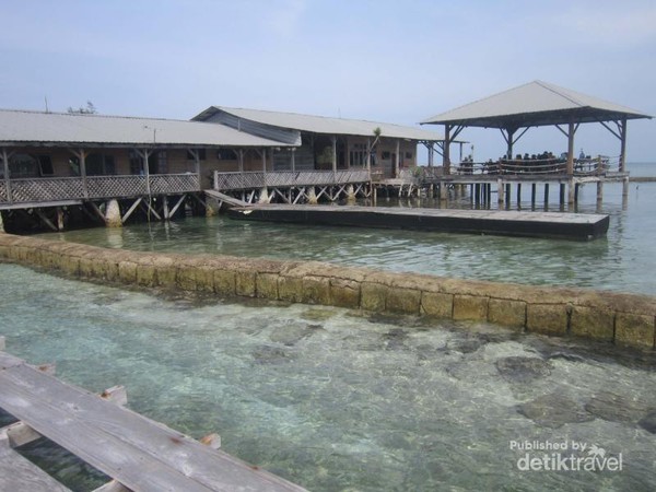 Restoran ini bernama Nusa Resto dengan berbagai hidangan lautnya yang segar dan punya pemandangan unik, karena bisa lihat langsung ikan hiu. Restoran ini bernama Nusa Resto dengan berbagai hidangan lautnya yang segar dan punya pemandangan unik, karena bisa lihat langsung ikan hiu.