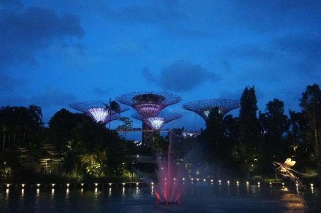 Foto: Saat Pohon Ajaib Singapura Menyala